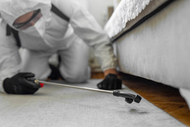 Professional Mosquito Control technician working in Fishhook, AK