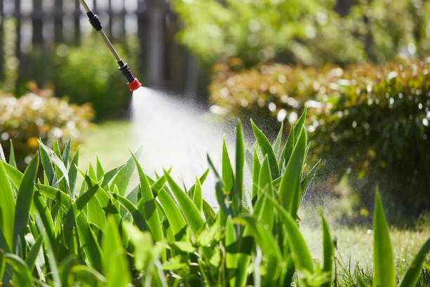 24/7 Emergency Mosquito Control experts in Fishhook, AK